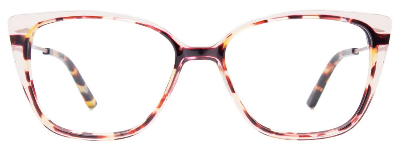Paradox P5088 Eyeglasses - view 5